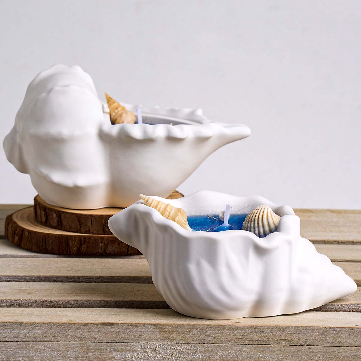 Conch Flowerpot Silicone Mold  - Idli Steamer Mold のレビューと価格