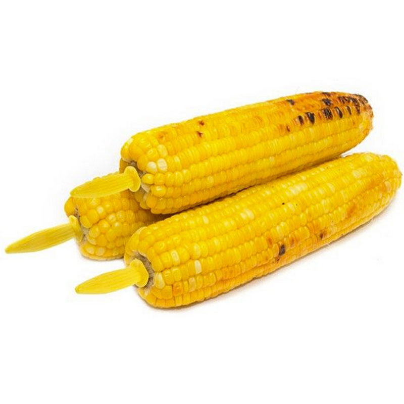 5/10PCS Stainless Steel Corn H - Home Cooking For Dogs のレビューと価格